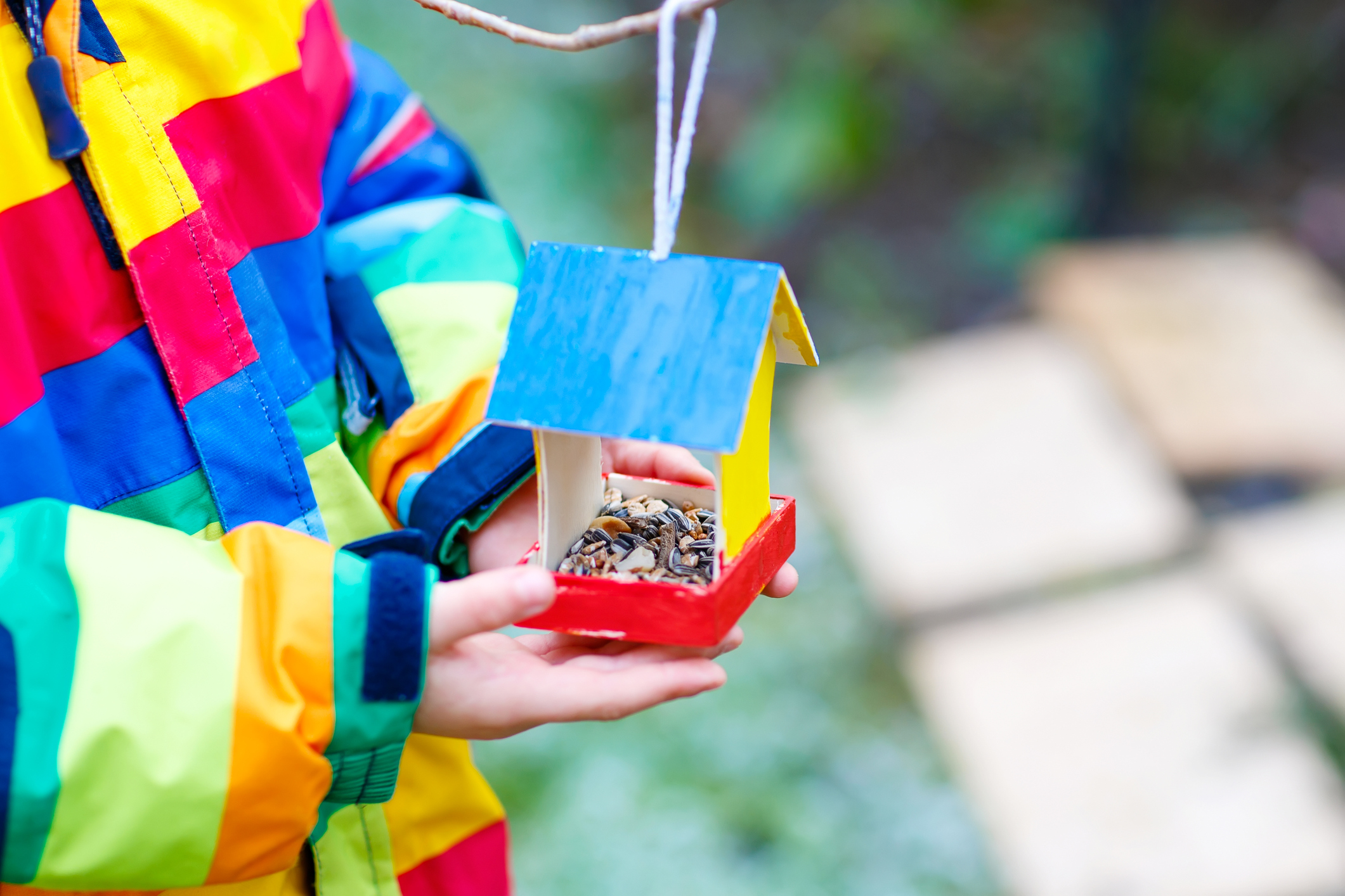 Build Feeding Homes for Birds